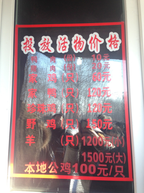 harbin siberian tiger park