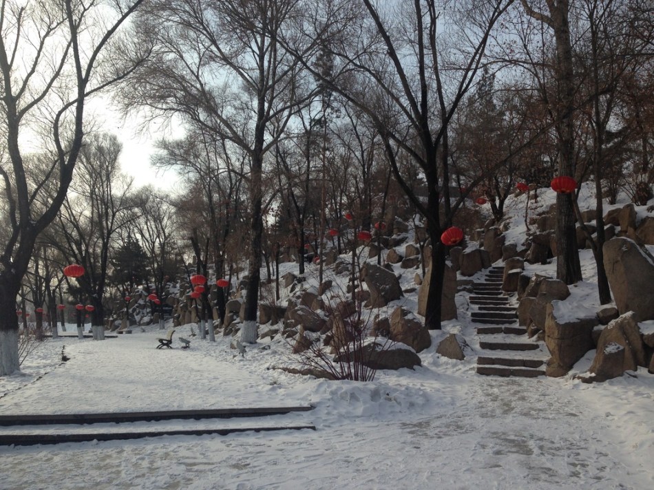 harbin winter