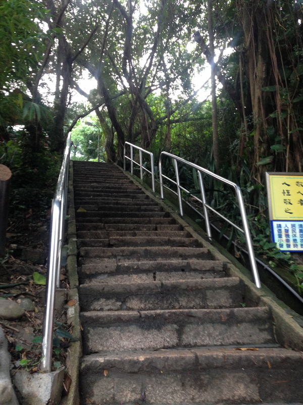 climbing elephant mountain